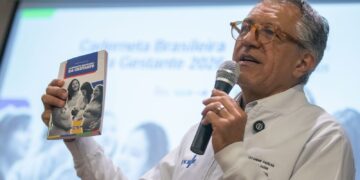 Ministério da Saúde libera versão digital da Caderneta da Gestante